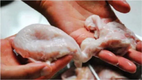 国家禁止猪吃水葫芦 水葫芦的毒性与危害