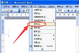 word2003怎么添加特殊符号 