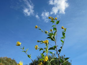 焕新“美”的一天，从美的焕新风空调开始