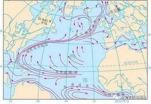 035 世界上规模最大的洋流 墨西哥湾暖流 