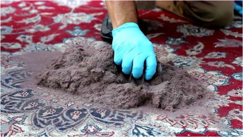 中国家庭为啥不铺地毯 看到清洗过程,终于知道为何没人用了 