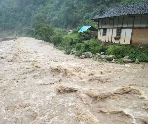 洪水接触食物要丢弃