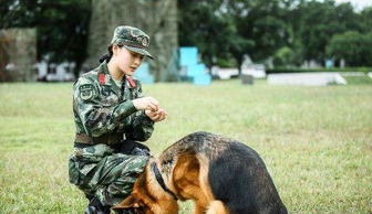 神犬奇兵 收官 张馨予不忍离别落泪 网友都感动哭了