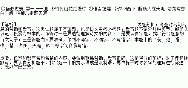 解释上的词语是什么-形容第一个的词语有哪些？