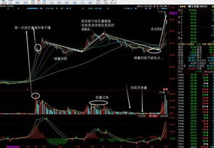 今尾市放庄吸筹放巨量的股票