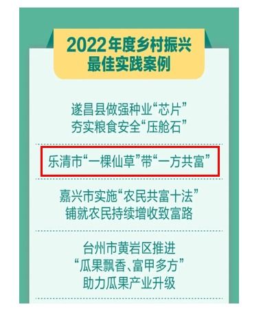 乡村振兴新实践方案范文,链式培训服务乡村振兴项目的大纲？