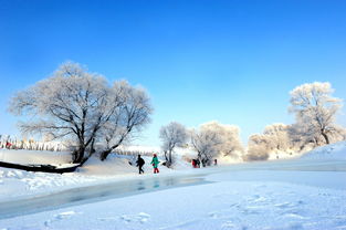 哈尔滨去雪乡自驾游攻略 (哈尔滨雪乡自助游交通攻略)