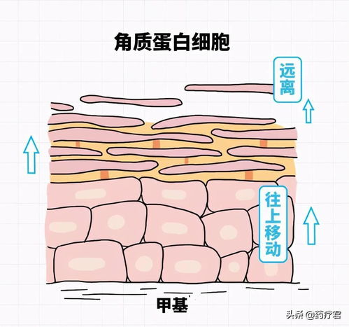 中医认为没有月牙的原因