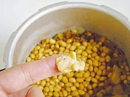 煮熟的黄豆如何做肥料养花