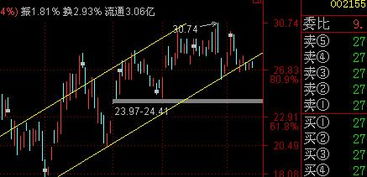 002155股票怎么样?