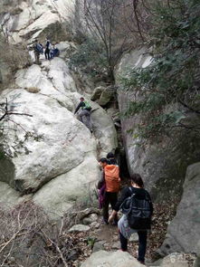 鲁山狼道未命名