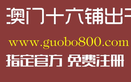 博业DG视讯——如何在国际市场中实现视讯科技的大力突破”