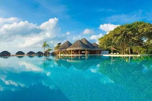 马尔代夫旅游必游 马尔代夫有哪些经济实惠的岛（马尔代夫景点最好的岛屿是哪）