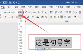 在word里打得字还是很小,已经初号字体了怎么让它变得更大啊 