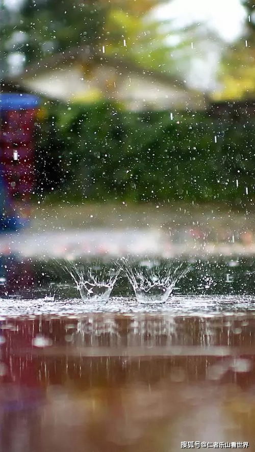 下雨天,随处都是景,怎么拍出意境