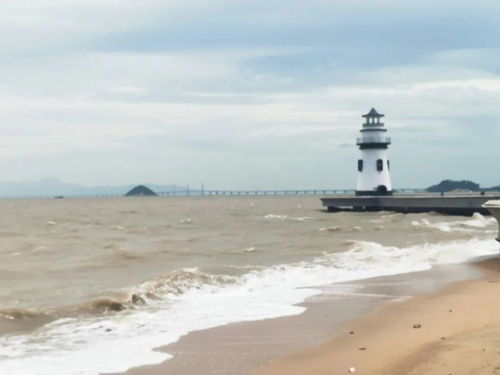 作为海滨城市的珠海,海水究竟有多脏