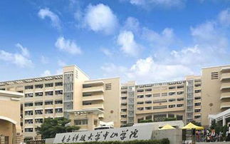 中山大学成人高考(中山大学有成人高考吗)