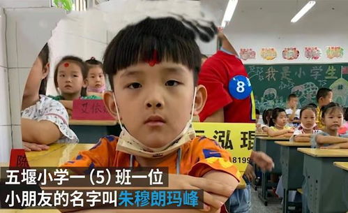 湖北学生取名 朱穆朗玛峰 说真的,中国小孩的爆款姓名,烫嘴