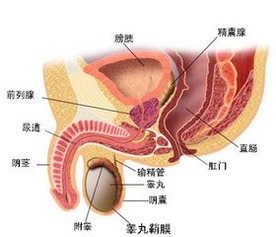 女人想要 性福 这节是必修课