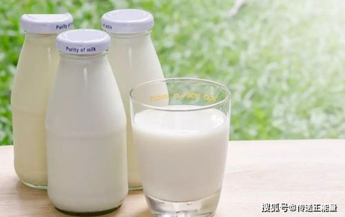中医为什么不主张喝牛奶 还是有一定道理的,不要杠,看完就懂了