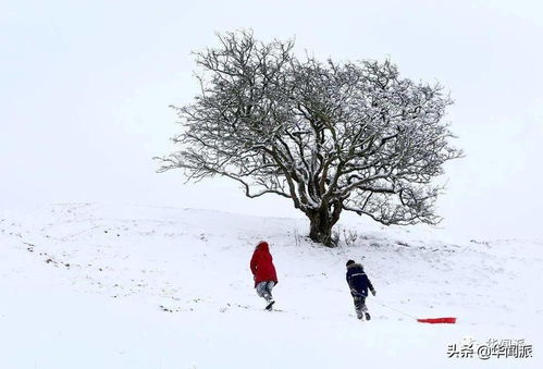 除夕,英国将迎74年来最冷2月夜 超美雪景,是否让你更想家