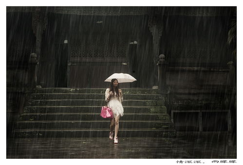 情深深.雨朦朦 