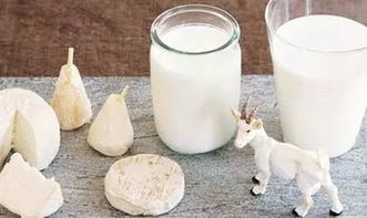 羊奶粉和羊乳粉哪个营养价值高(羊奶粉和羊乳粉有什么区别)