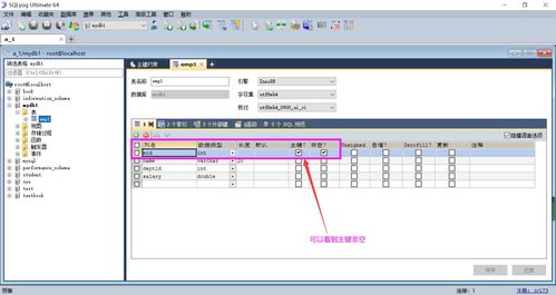 MySql中的约束