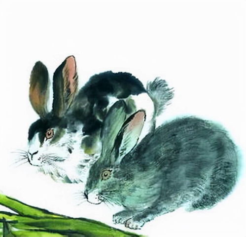 生肖羊 鼠 兔,十二月哪方面运势好 各有各的喜,前途一片光明