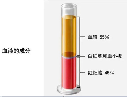 景宁各位爱心人士,一起去献血浆吧,不仅利人还利己,更有免费专车接送及补贴哦 