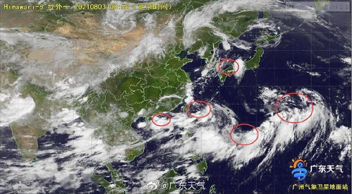 台风又要来了 广东已挂30个台风预警 暴雨 大风即将杀到