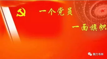 大荔韦林镇无职党员 有岗更有责 有位更有为