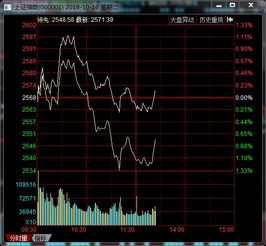 上午大盘跌停了 下午还开盘吗