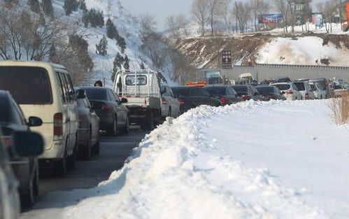 2019年车票预购预示春运临近,忆不过的凌冽雪灾,挡不住的思乡情