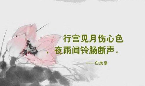 音，雨，木，口，务，心，能变成什么新字?