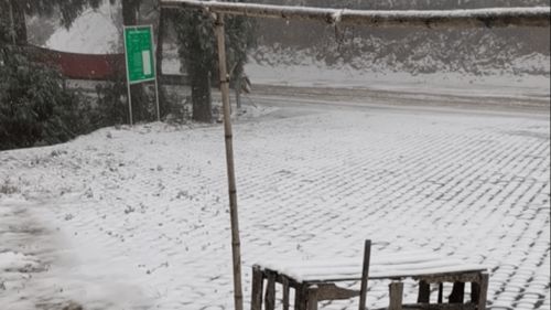 雪继续下 全绍兴的雪景都在这里了,你想去哪里玩