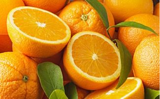 有关橘子的小知识(关于橘子的资料大全)