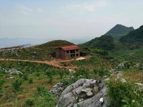 种植玳玳酸橙脱贫摘帽,看专家选址规避乡村旅游雷区