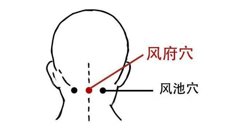 怕冷可以常按这四个穴位 