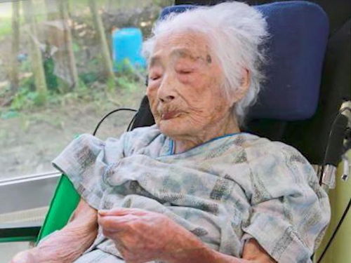 世界最长寿老人于日本去世享年多少岁 