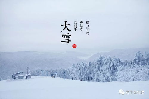 今日大雪,最调皮 最优美的大雪古诗词欣赏