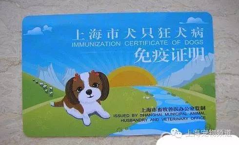 上海市办理养犬证 狗证 免疫证 各区县动物疫病预防控制中心地址 电话 办理流程完整版