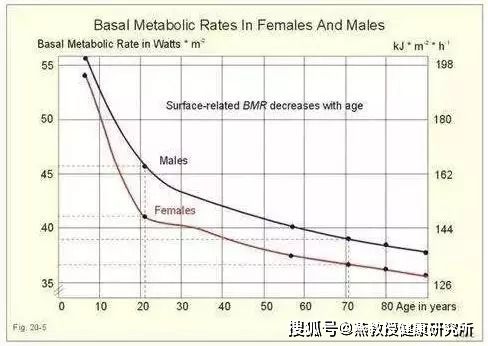 年龄越大,如何才能更有效地减肥 燕教授教你2招