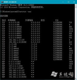 如何查看win10开启了那些端口