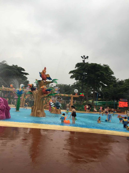 长隆水上乐园 水上乐园 成人票长隆水上乐园去的时候在下雨 不过玩的人还是 驴妈妈点评 