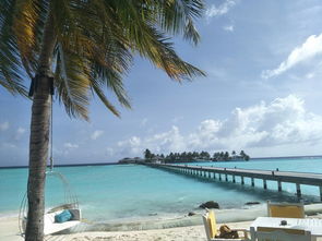 马尔代夫岛是否仍然是浪漫的度假胜地（马尔代夫海岛旅游）