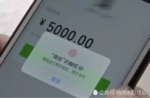 软件查重系统是否会审核用户的评论？