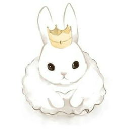 公主兔的图片 