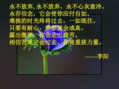 关于励志的段落  命运2高燃励志语段？