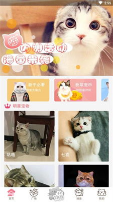 猫咪汇app下载